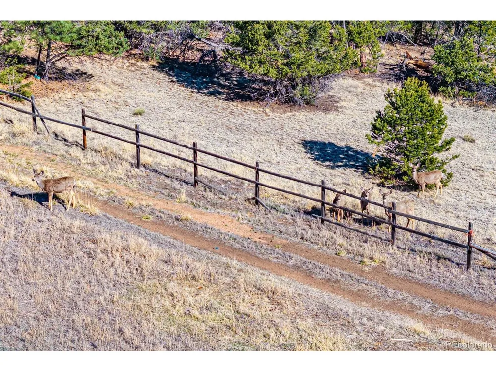987 14th Trail Cotopaxi, CO 81223