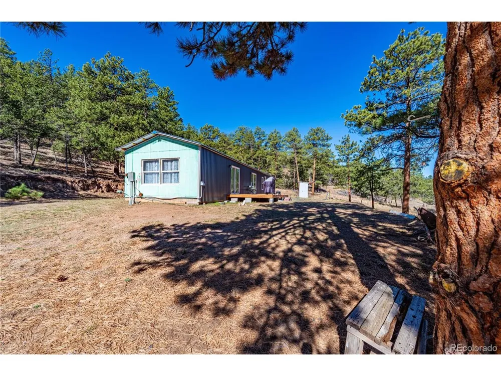 987 14th Trail Cotopaxi, CO 81223