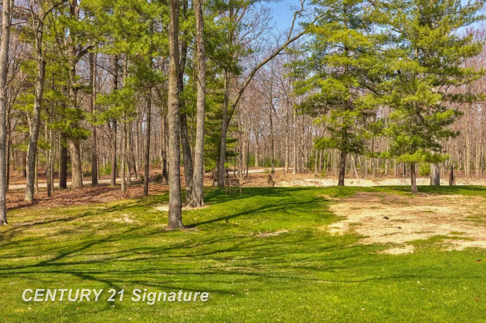 5728 Tipperary Drive Caseville Township, MI 48725