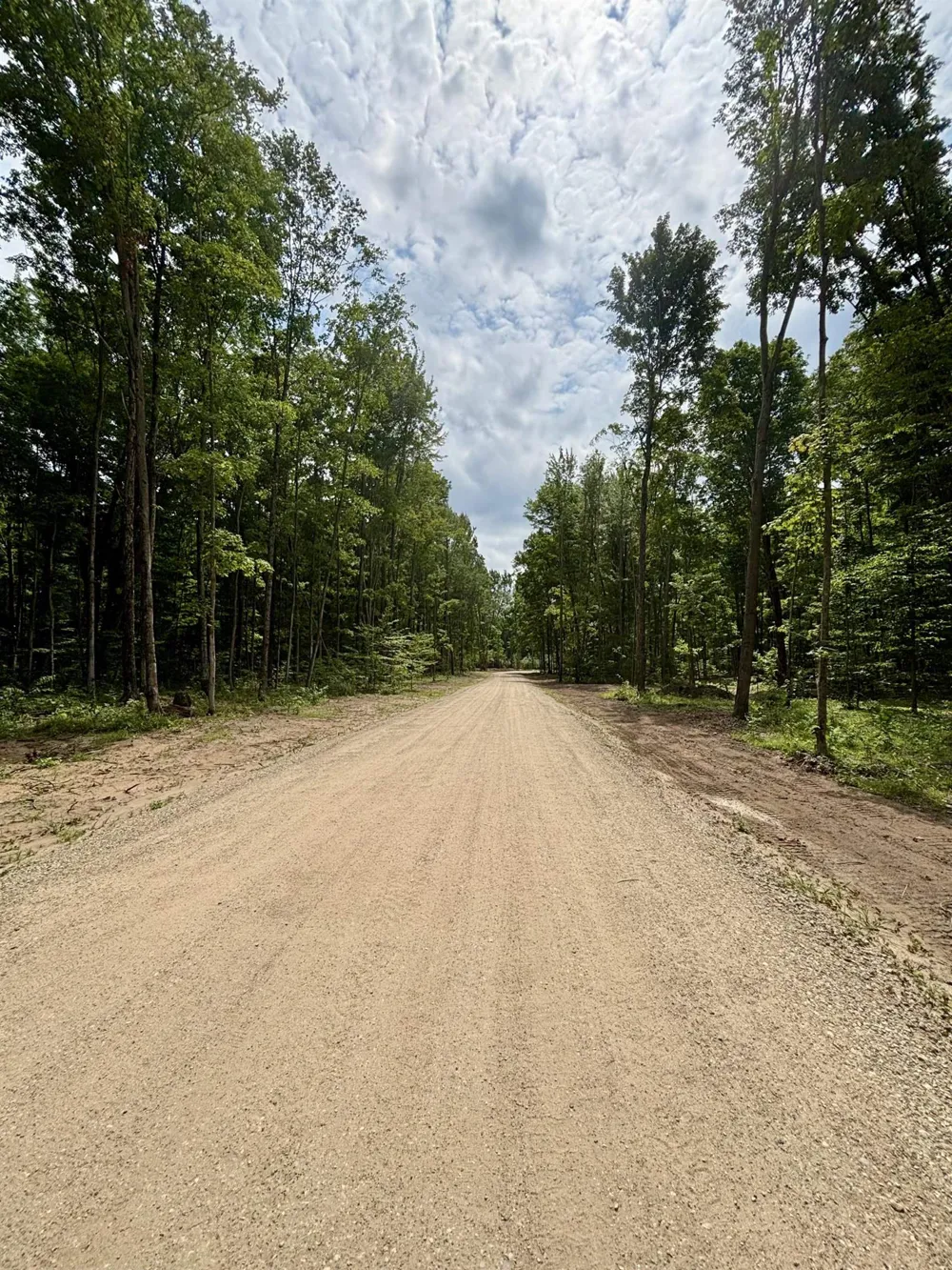 NE Manistee Ridge Drive NE Coldsprings Township, MI 49646