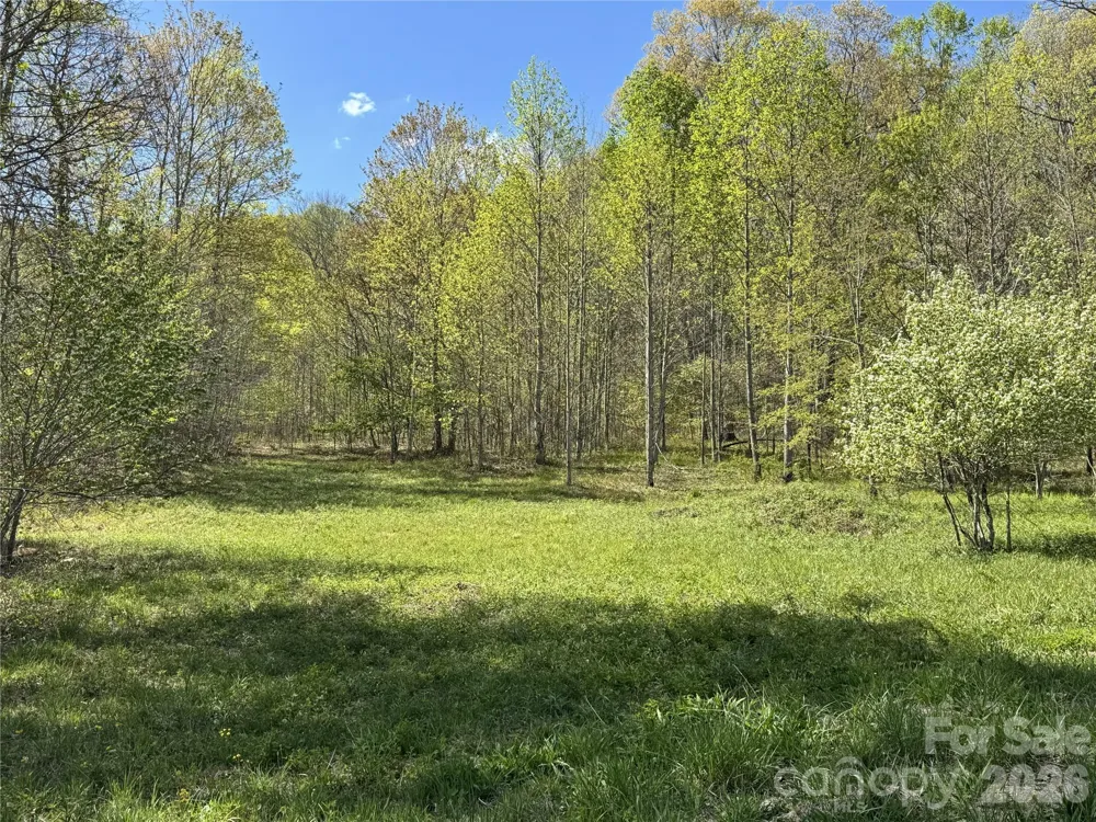 Lot 8 Elk Creek Mountain Parkway Todd, NC 28684