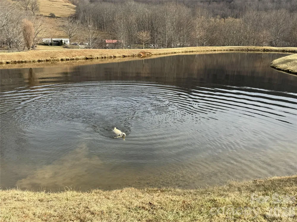 Lot 8 Elk Creek Mountain Parkway Todd, NC 28684