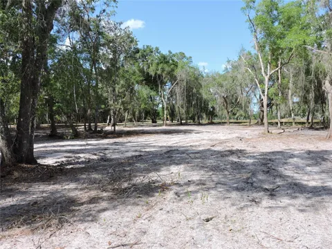 COUNTY ROAD 309