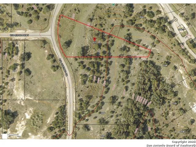 1217 RIO CENTRAL DR Spring Branch, TX 78070