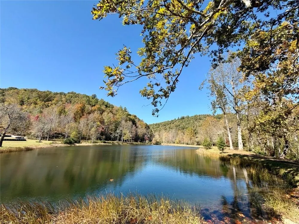 80 Cove View Lane Clarkesville, GA 30523