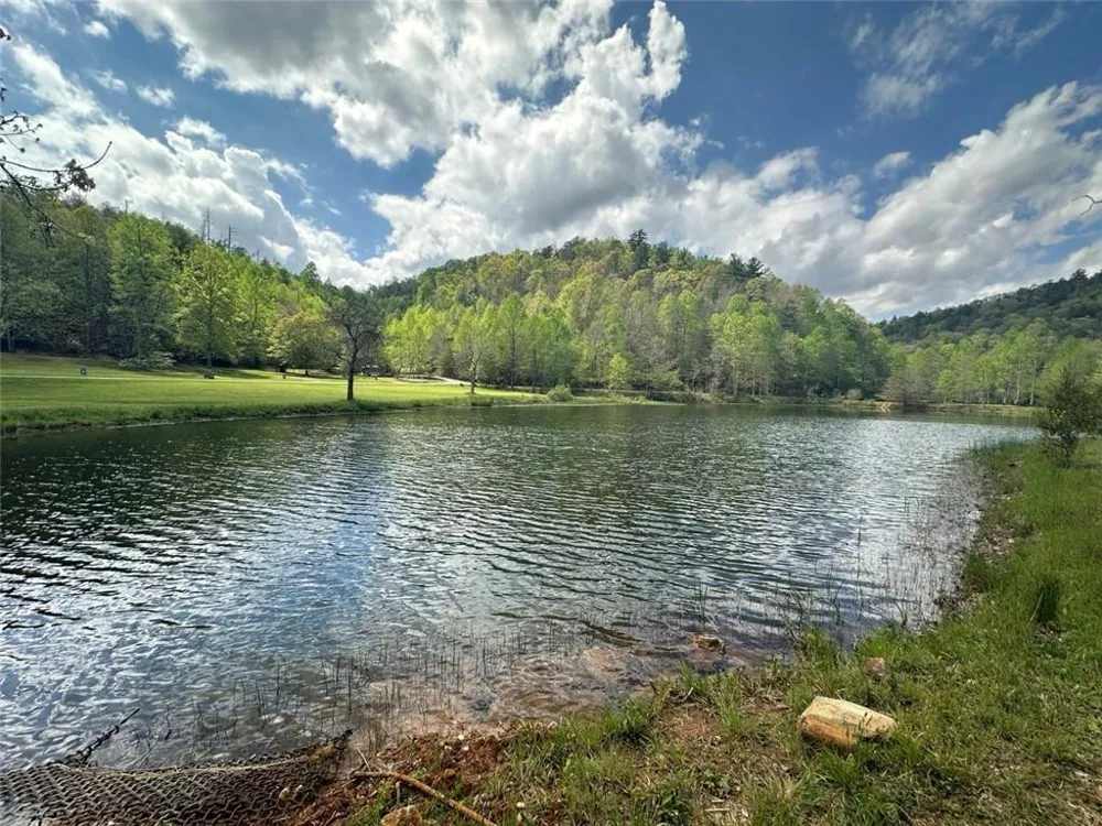 80 Cove View Lane Clarkesville, GA 30523