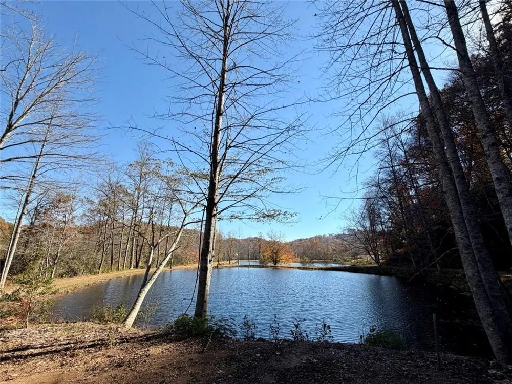 80 Cove View Lane Clarkesville, GA 30523