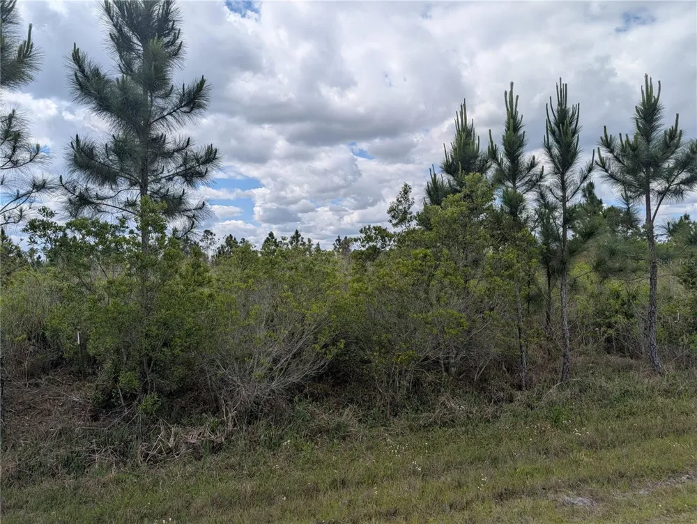 ALTHEA DRIVE Indian Lake Estates, FL 33855