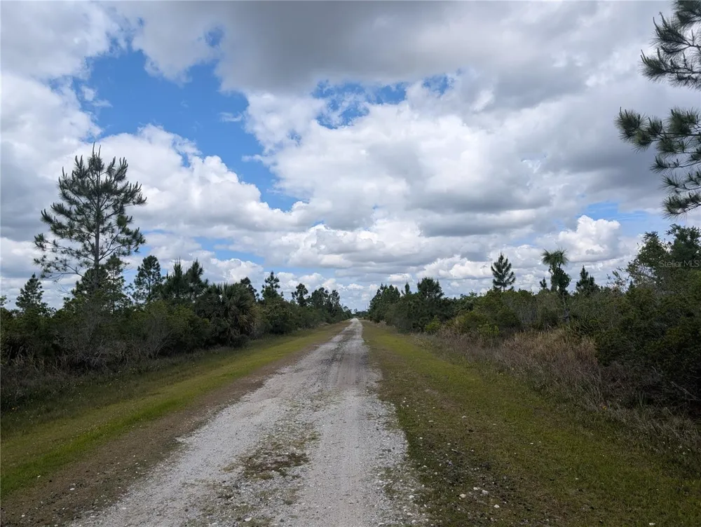 ALTHEA DRIVE Indian Lake Estates, FL 33855