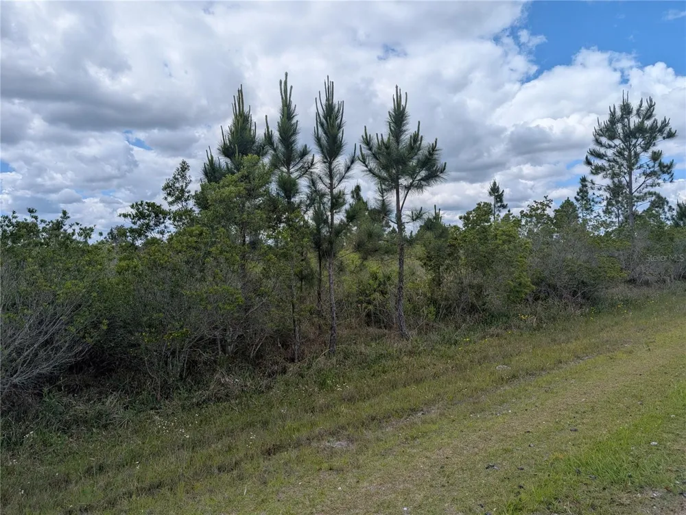 ALTHEA DRIVE Indian Lake Estates, FL 33855