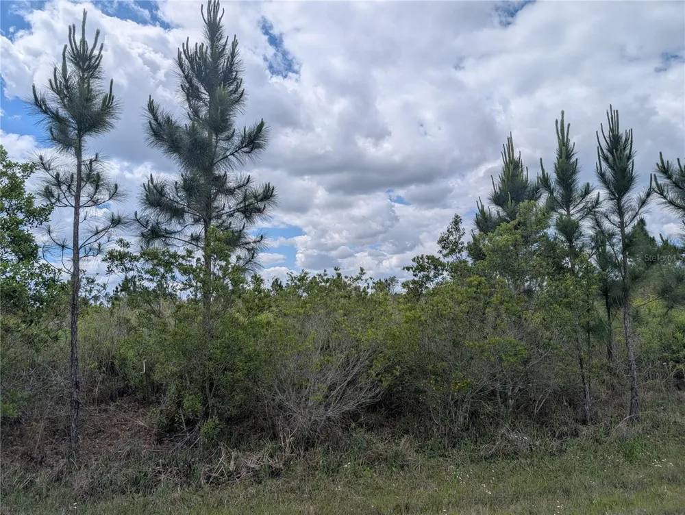 ALTHEA DRIVE Indian Lake Estates, FL 33855