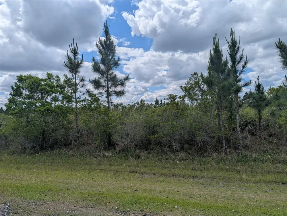 ALTHEA DRIVE Indian Lake Estates, FL 33855