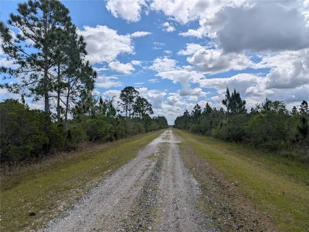 ALTHEA DRIVE Indian Lake Estates, FL 33855