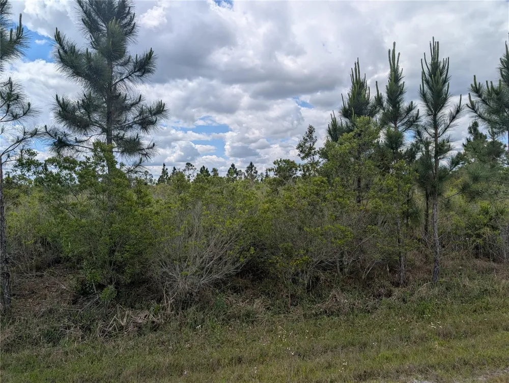 ALTHEA DRIVE Indian Lake Estates, FL 33855