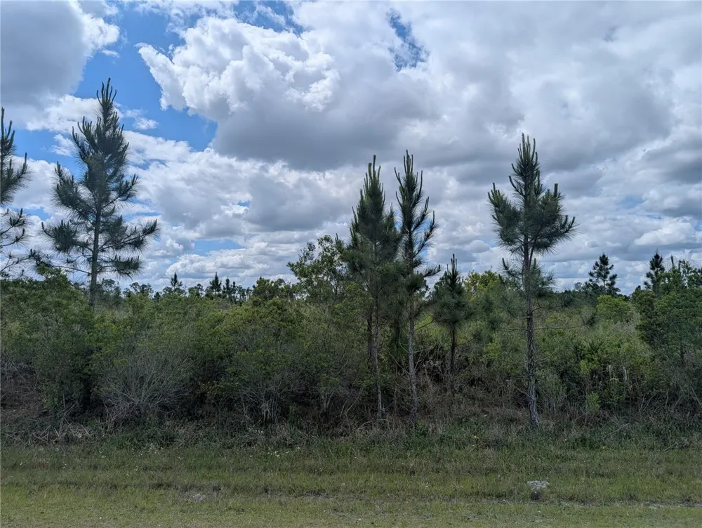 ALTHEA DRIVE Indian Lake Estates, FL 33855
