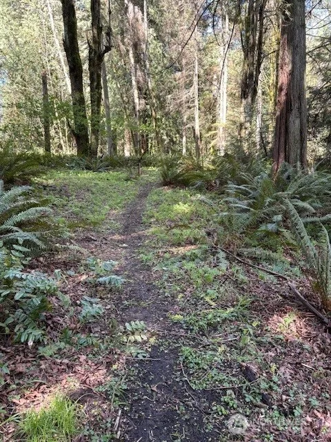 16230 Agate Pass Road #LOT B Bainbridge Island, WA 98110