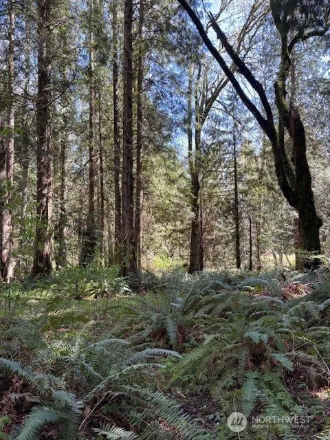16230 Agate Pass Road #LOT B Bainbridge Island, WA 98110