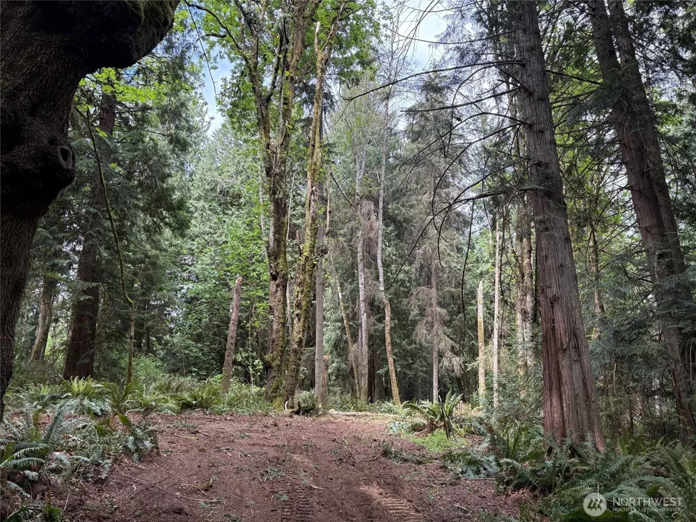 16230 Agate Pass Road #LOT B Bainbridge Island, WA 98110