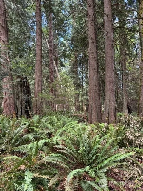 16230 Agate Pass Road #LOT B Bainbridge Island, WA 98110