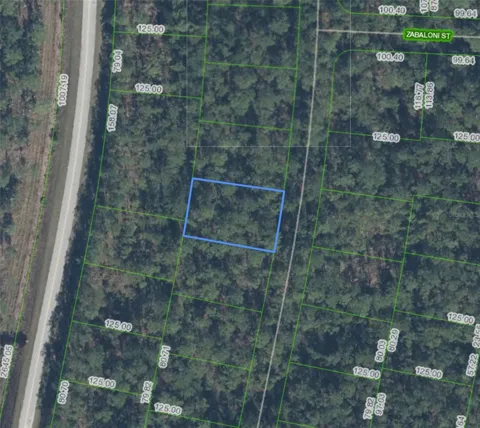 Address Not Shown
