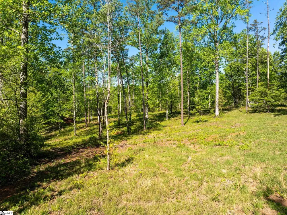 118 Harris Road Pickens, SC 29671