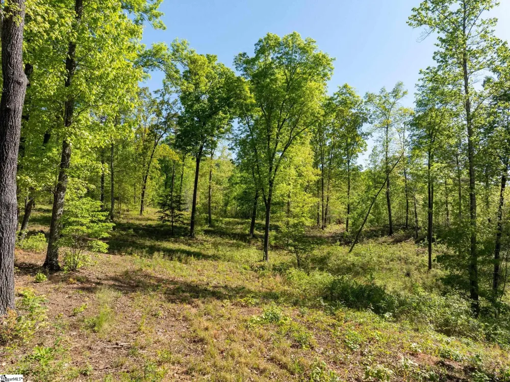 118 Harris Road Pickens, SC 29671