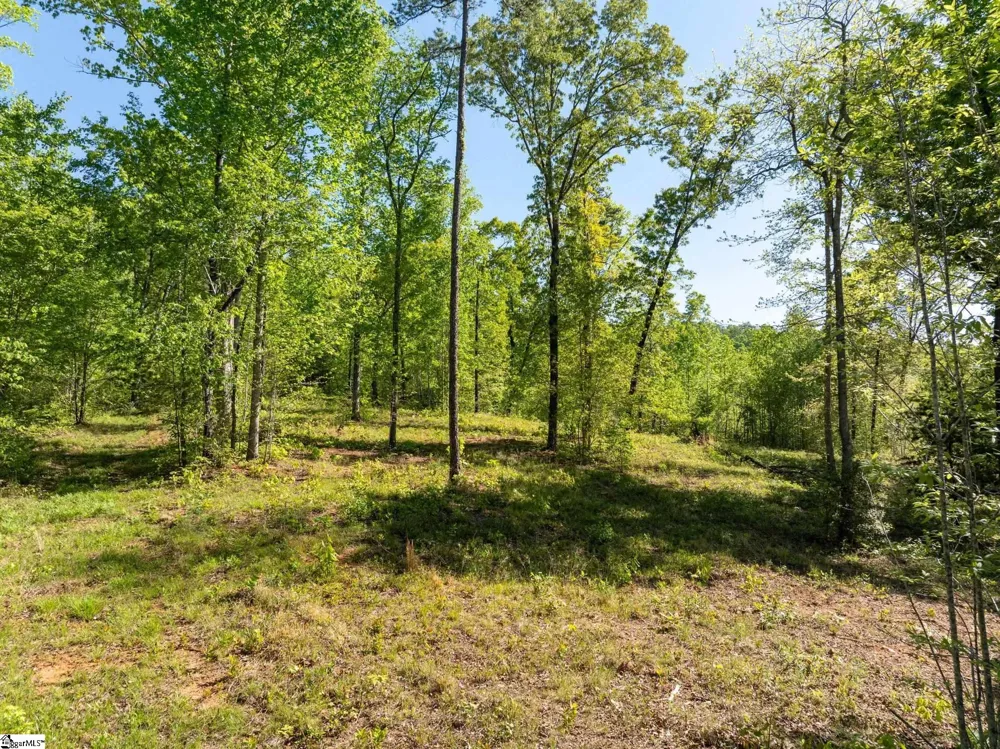 118 Harris Road Pickens, SC 29671