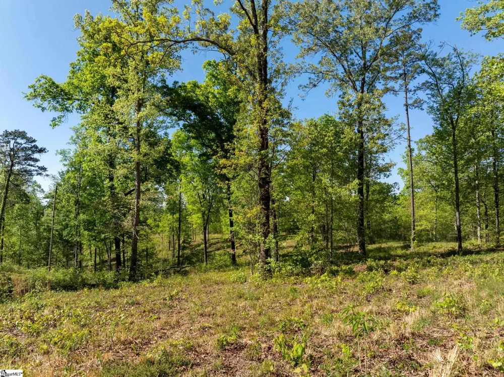 118 Harris Road Pickens, SC 29671