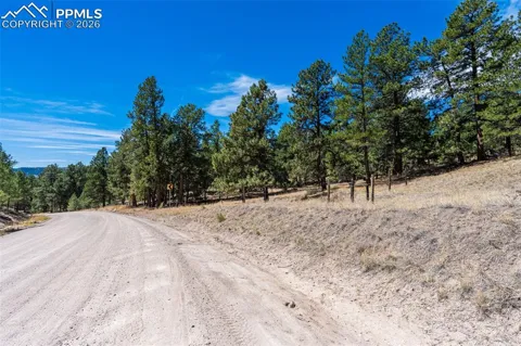 22555 County Road 49