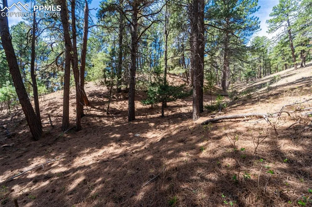 22555 County Road 49 Elbert, CO 80106
