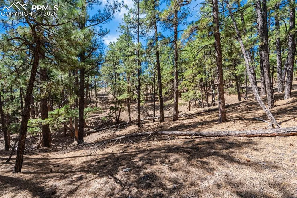 22555 County Road 49 Elbert, CO 80106