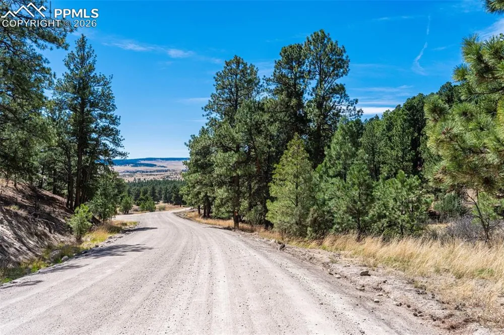 22555 County Road 49 Elbert, CO 80106