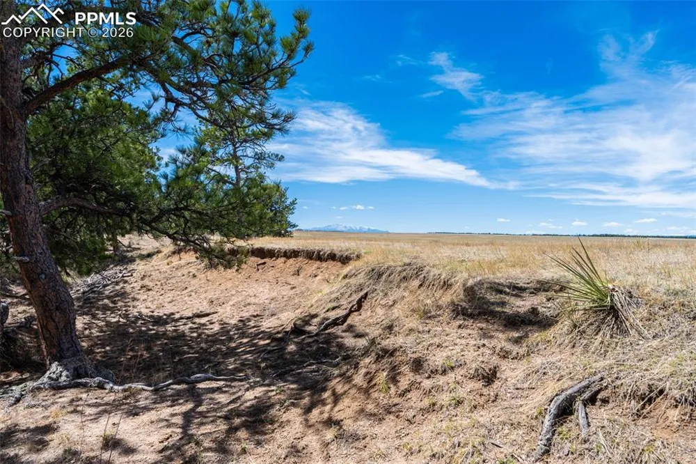 22555 County Road 49 Elbert, CO 80106