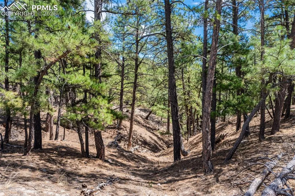 22555 County Road 49 Elbert, CO 80106