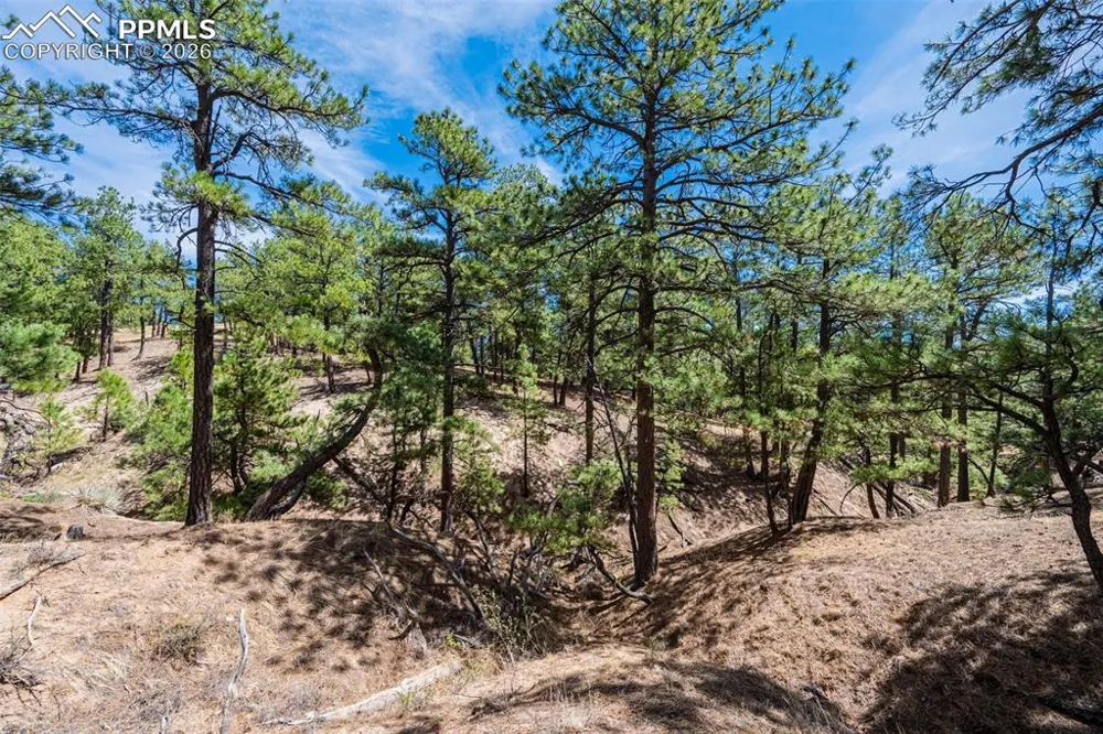 22555 County Road 49 Elbert, CO 80106