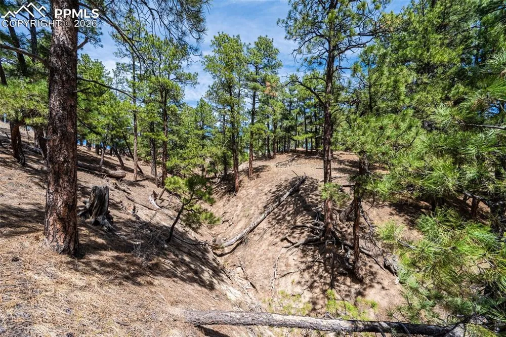 22555 County Road 49 Elbert, CO 80106