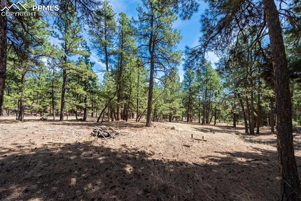22555 County Road 49 Elbert, CO 80106