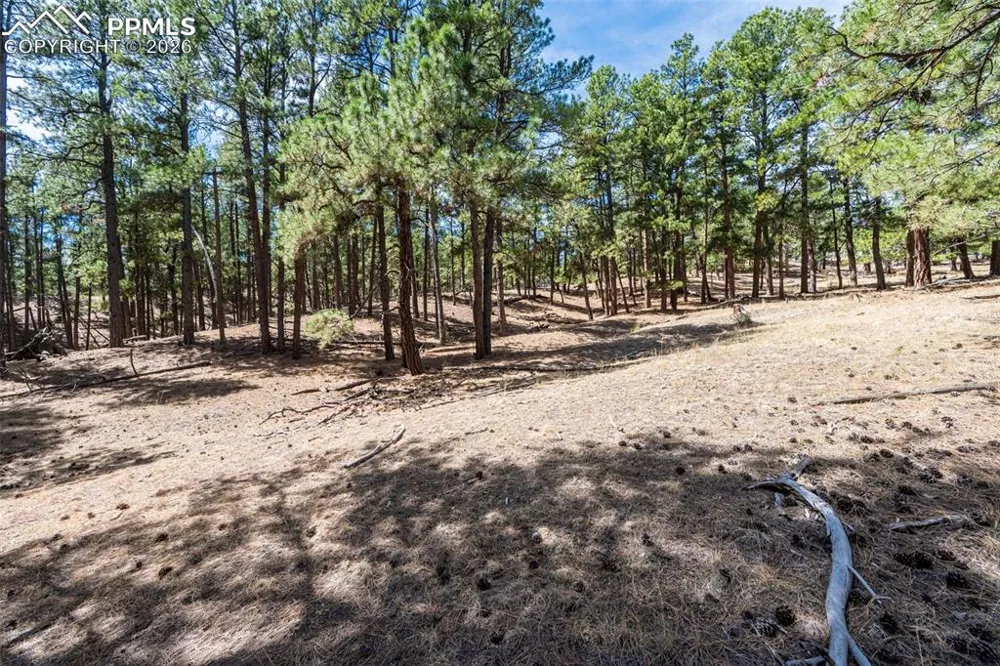 22555 County Road 49 Elbert, CO 80106