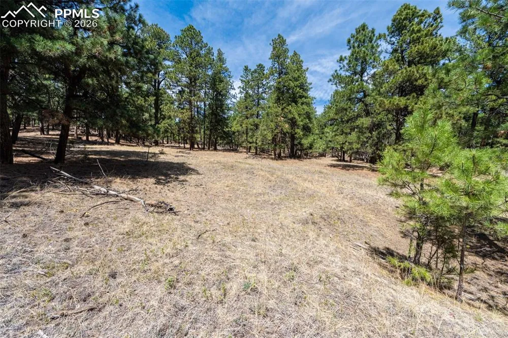 22555 County Road 49 Elbert, CO 80106