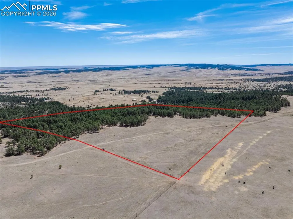 22555 County Road 49 Elbert, CO 80106