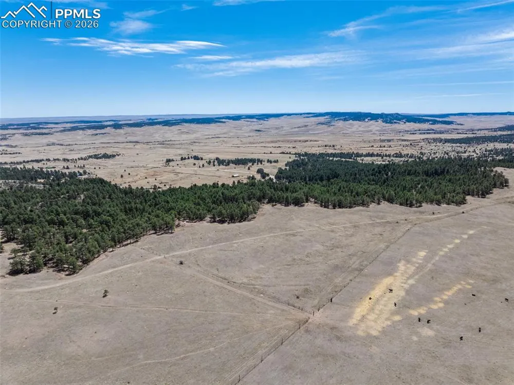22555 County Road 49 Elbert, CO 80106