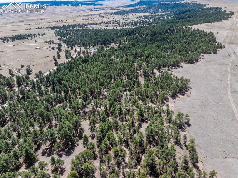 22555 County Road 49 Elbert, CO 80106