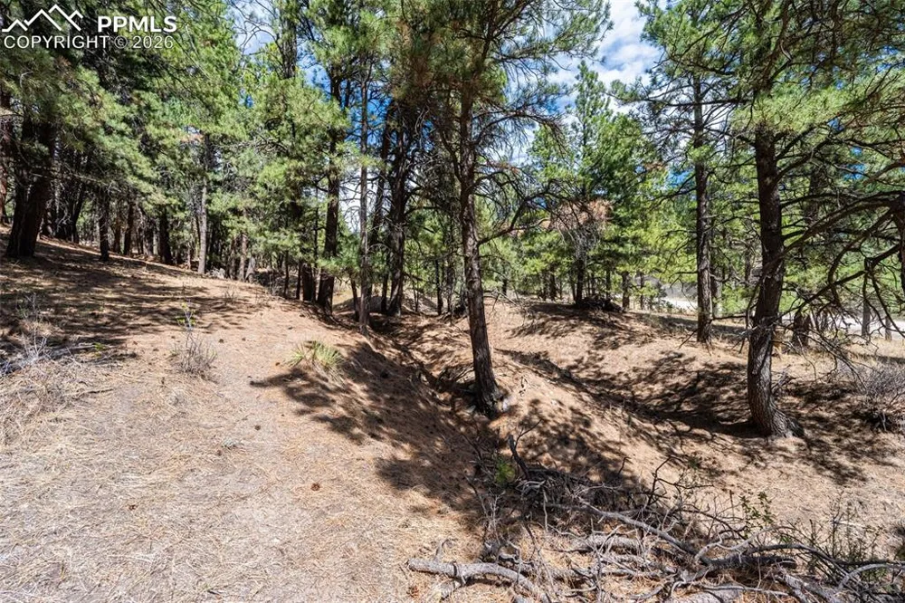 22555 County Road 49 Elbert, CO 80106