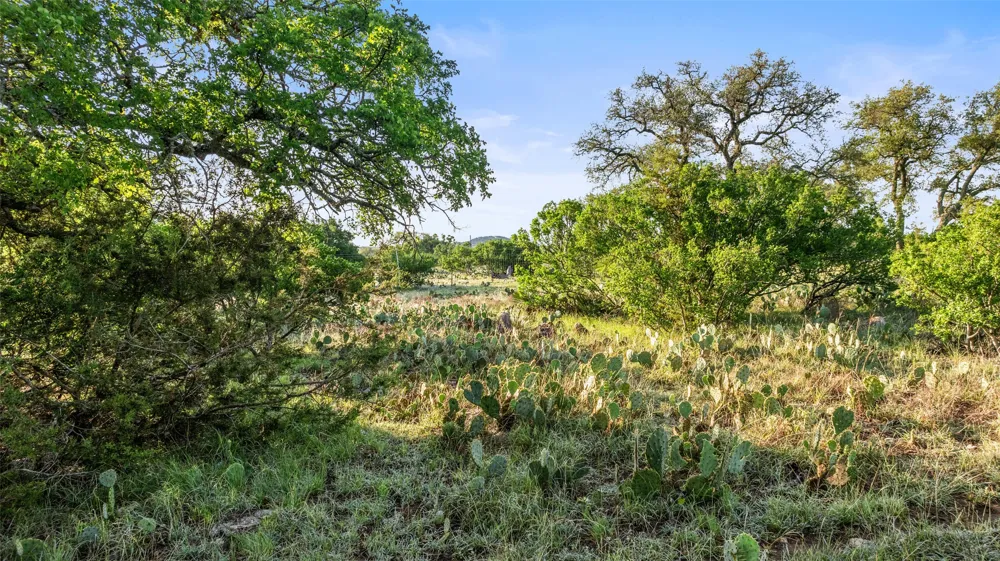 3 Vista Ridge Drive Round Mountain, TX 78663