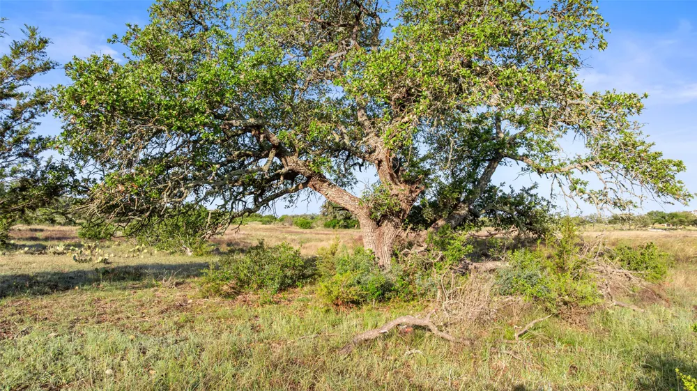 3 Vista Ridge Drive Round Mountain, TX 78663