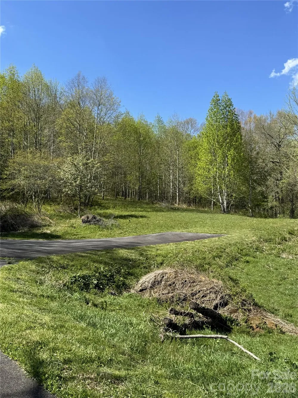 Lot 47A Elk Creek Mountain Parkway Todd, NC 28684