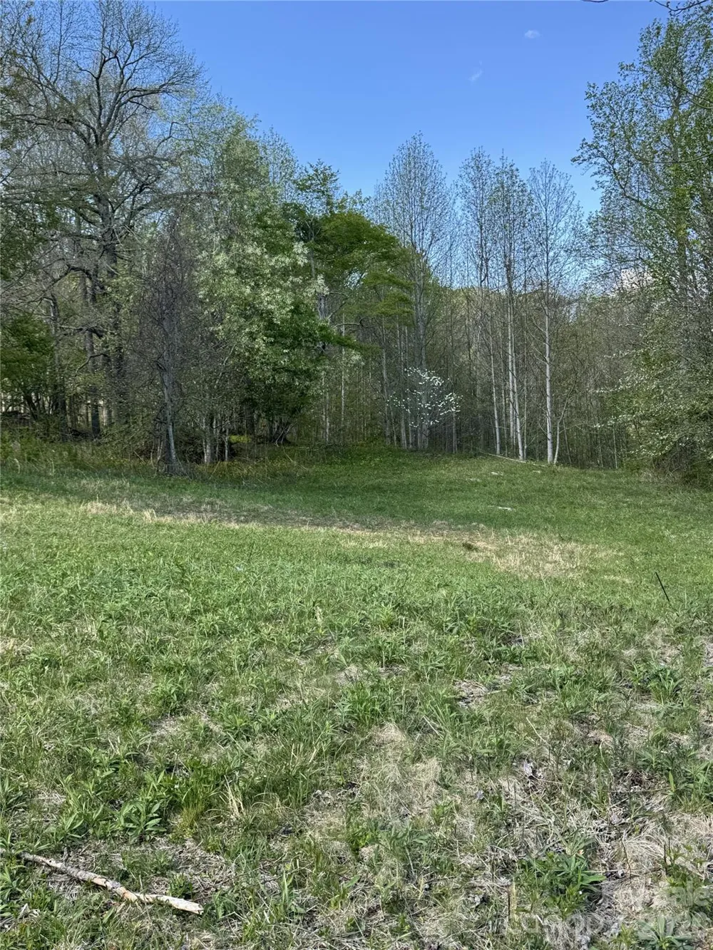 Lot 47A Elk Creek Mountain Parkway Todd, NC 28684