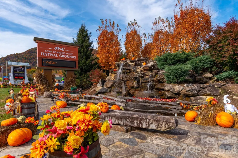 500 Sophie Road Maggie Valley, NC 28751