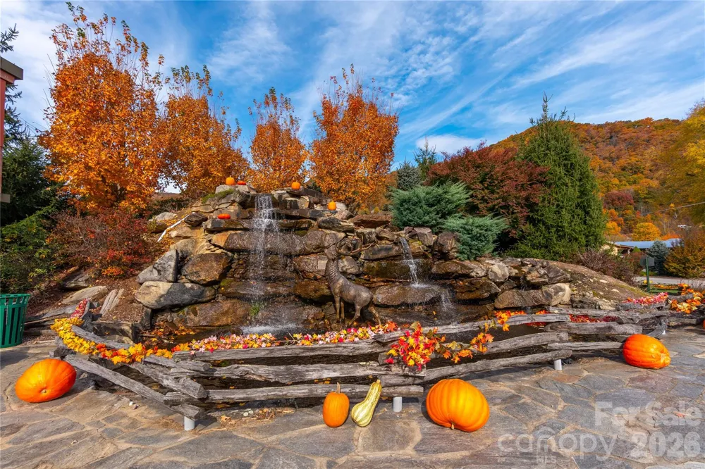 500 Sophie Road Maggie Valley, NC 28751