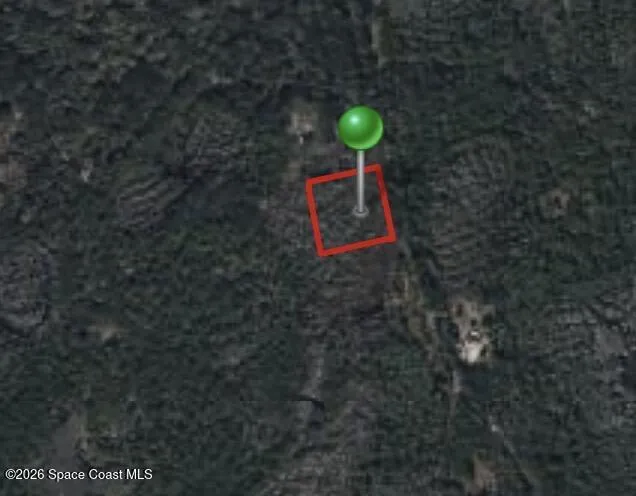  Oak Hill, FL 32759